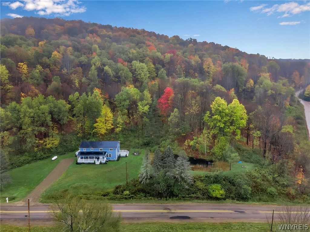 7835 Dublin Road Mansfield, NY 14779 - Photo 7 of 48