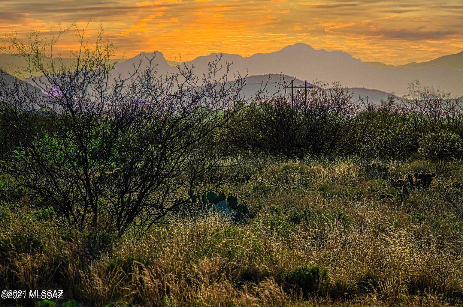 0 East Panther Butte Road Tucson, AZ 85739 - Photo 5 of 10