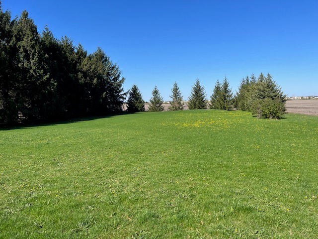 927 Dickson Road Bristol, IL 60560 - Photo 5 of 9 a view of field with trees in the background