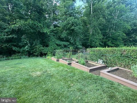 7504 Nancemond Street Springfield, VA 22150 - Photo 4 of 6