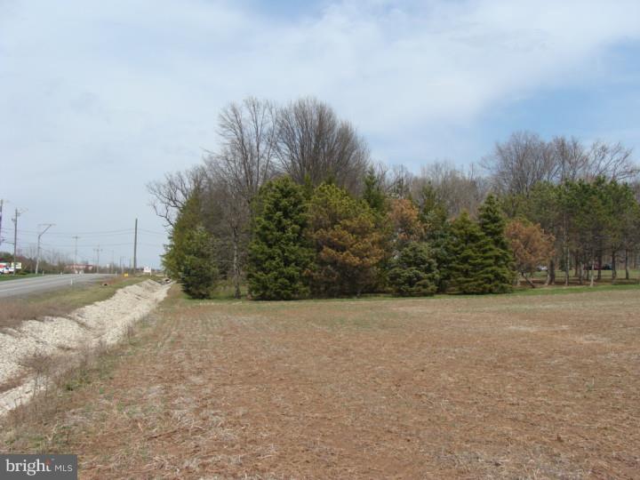 531 Wambold Road Souderton, PA 18964 - Photo 8 of 17 Gallery Image 8