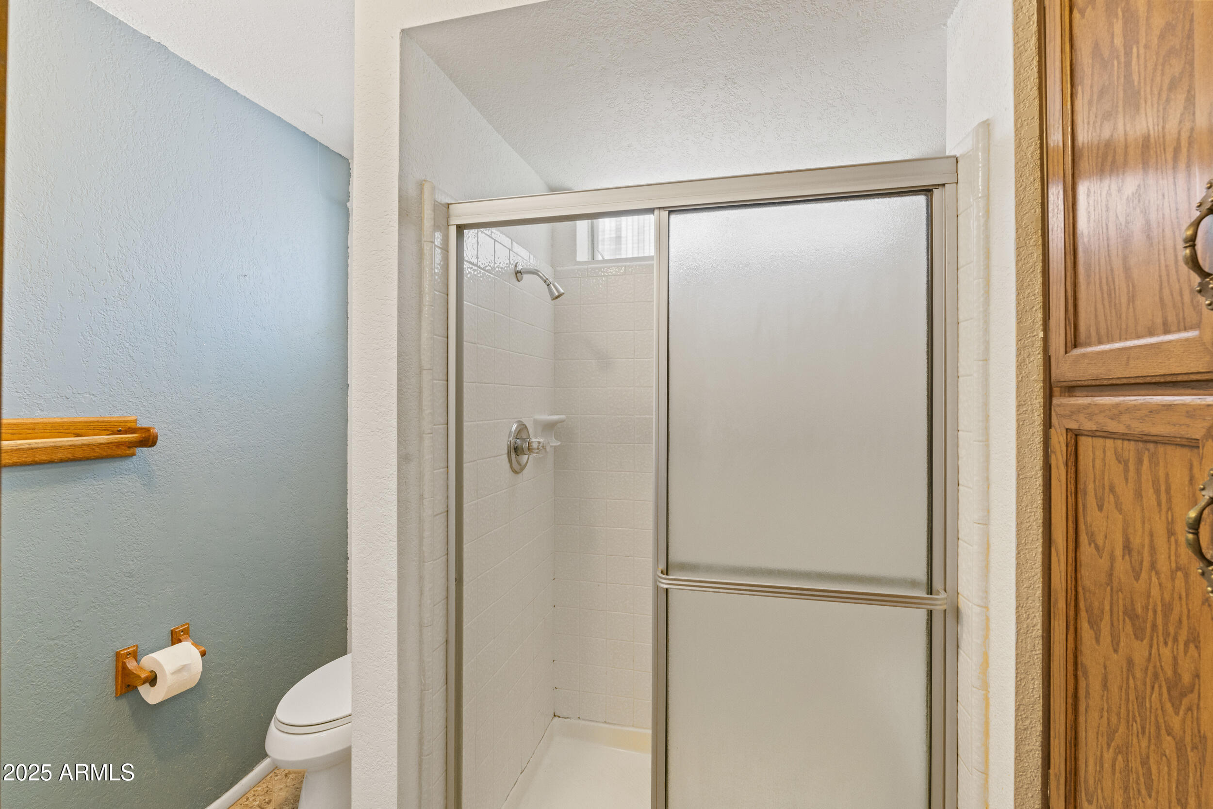 4535 East Redfield Road Phoenix, AZ 85032 - Photo 16 of 24 Walk-in shower