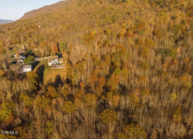 $44,500 | Tbd Persimmon Drive, Big Stone Gap, VA 24219