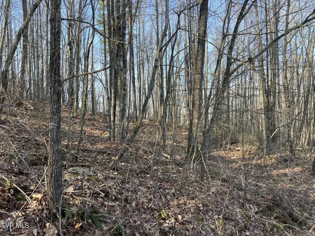 $44,500 | Tbd Persimmon Drive, Big Stone Gap, VA 24219
