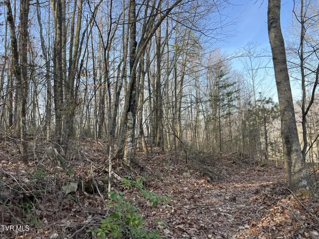 $44,500 | Tbd Persimmon Drive, Big Stone Gap, VA 24219