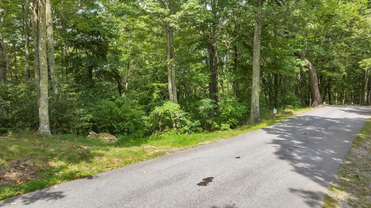 Lot 17 Wildwood Ridge Lindside, WV 24951 - Photo 1 of 38 Lot 17 Wildwood Ridge