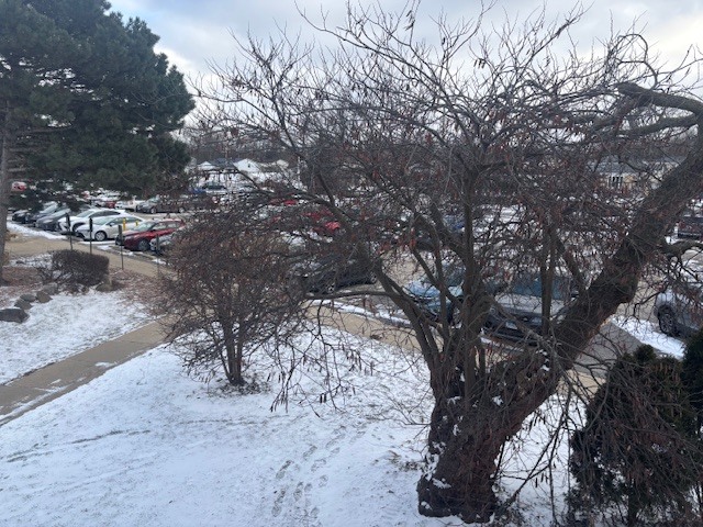 806 East Old Willow Road, Unit 211 Prospect Heights, IL 60070 - Photo 15 of 18