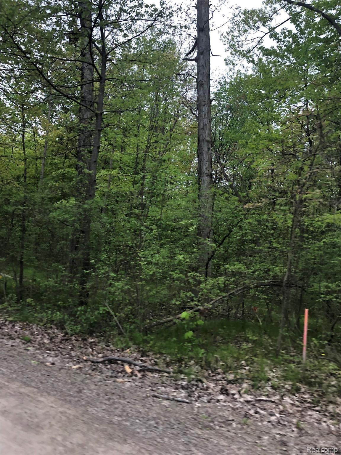 66591 Campground Road Washington, MI 48095 - Photo 10 of 11 IMG_3955.jpeg