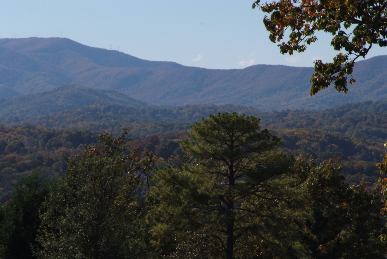 5324 Fox Ridge Road Southwest Roanoke, VA 24018 - Photo 23 of 23 DSCF0910