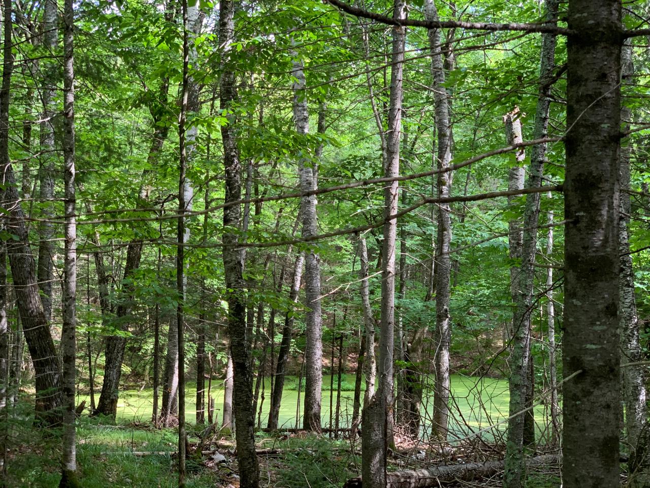 Off Kein Road, Unit LOT 14 Mercer, WI 54547 - Photo 10 of 12 Gallery Image 10