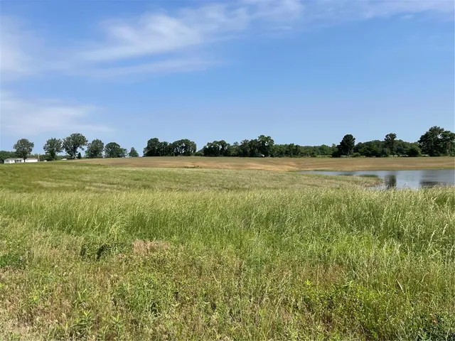 $88,740 | 0 Tract 3 County Road, Bloomfield, MO 63825
