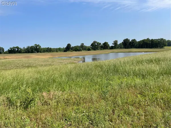 $88,740 | 0 Tract 3 County Road, Bloomfield, MO 63825