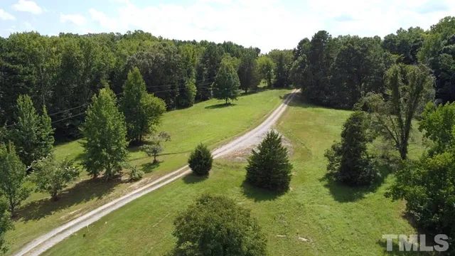 a view of a lake in the forest