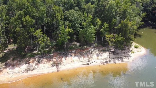 a view of water yard with a tree