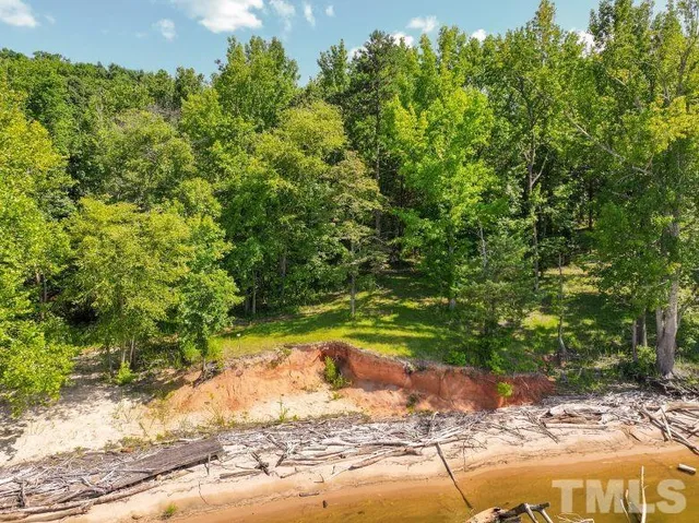 a view of a yard with plants and tree