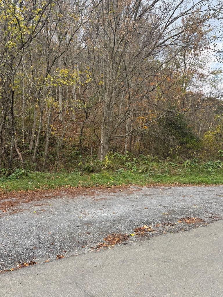 Tbd Hurt Buggy Road Cedar Bluff, VA 24609 - Photo 1 of 6 Gallery Image 1