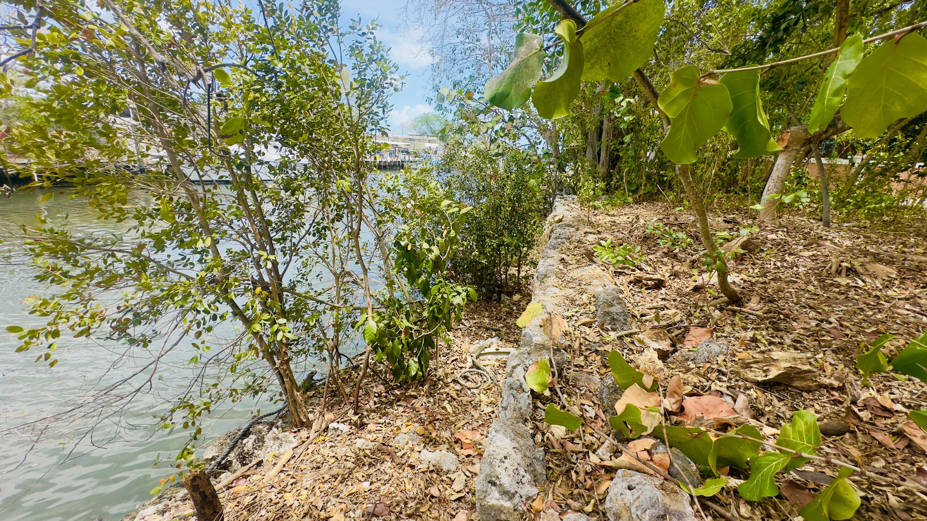 8 South Exuma Road Key Largo, FL 33037 - Photo 12 of 18 Seawall