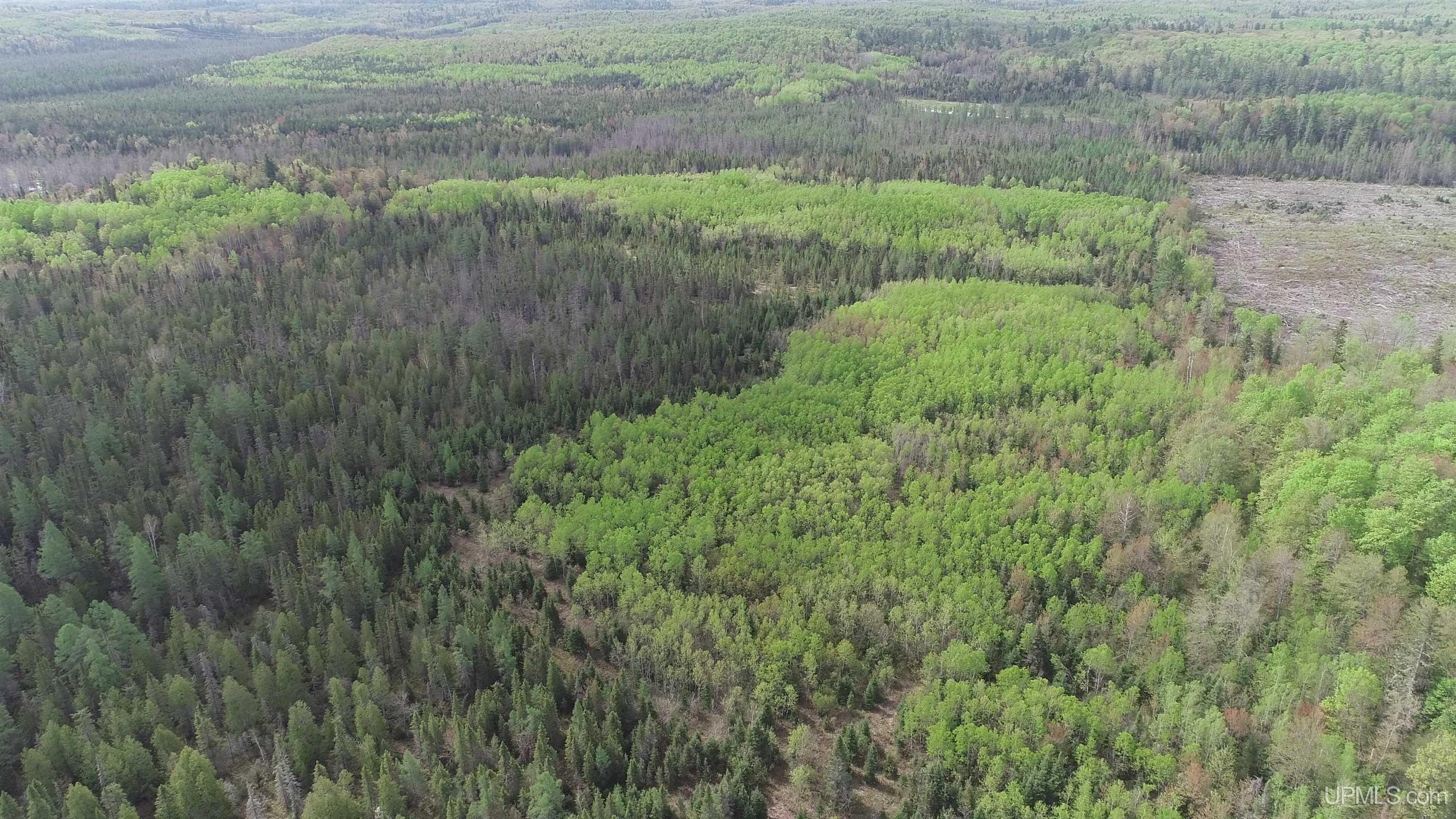 280-acres County Road CCN Road Negaunee, MI 49866 - Photo 44 of 48