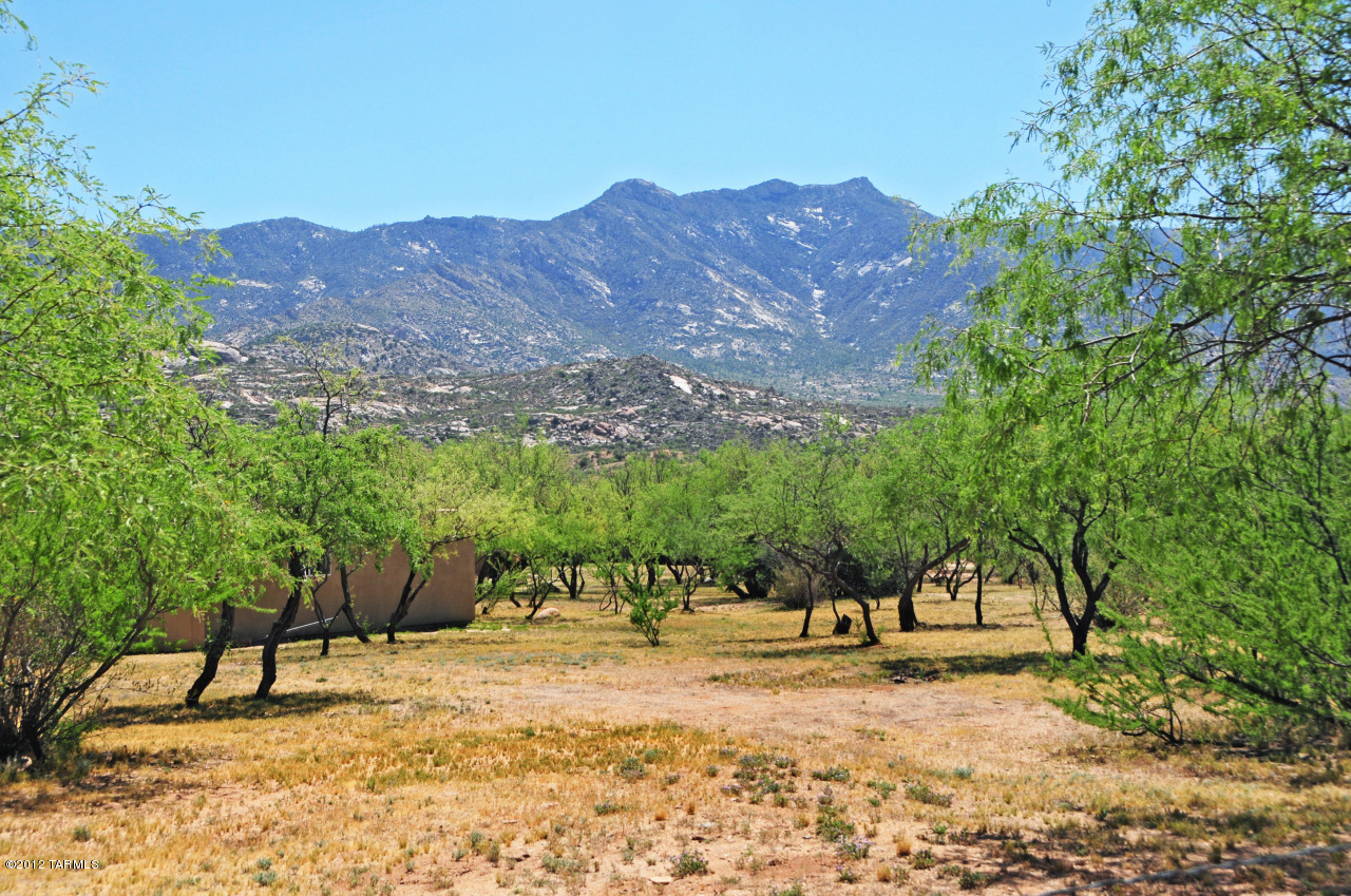 64672 East Edwin Road Tucson, AZ 85739 - Photo 7 of 45 Gallery Image 7