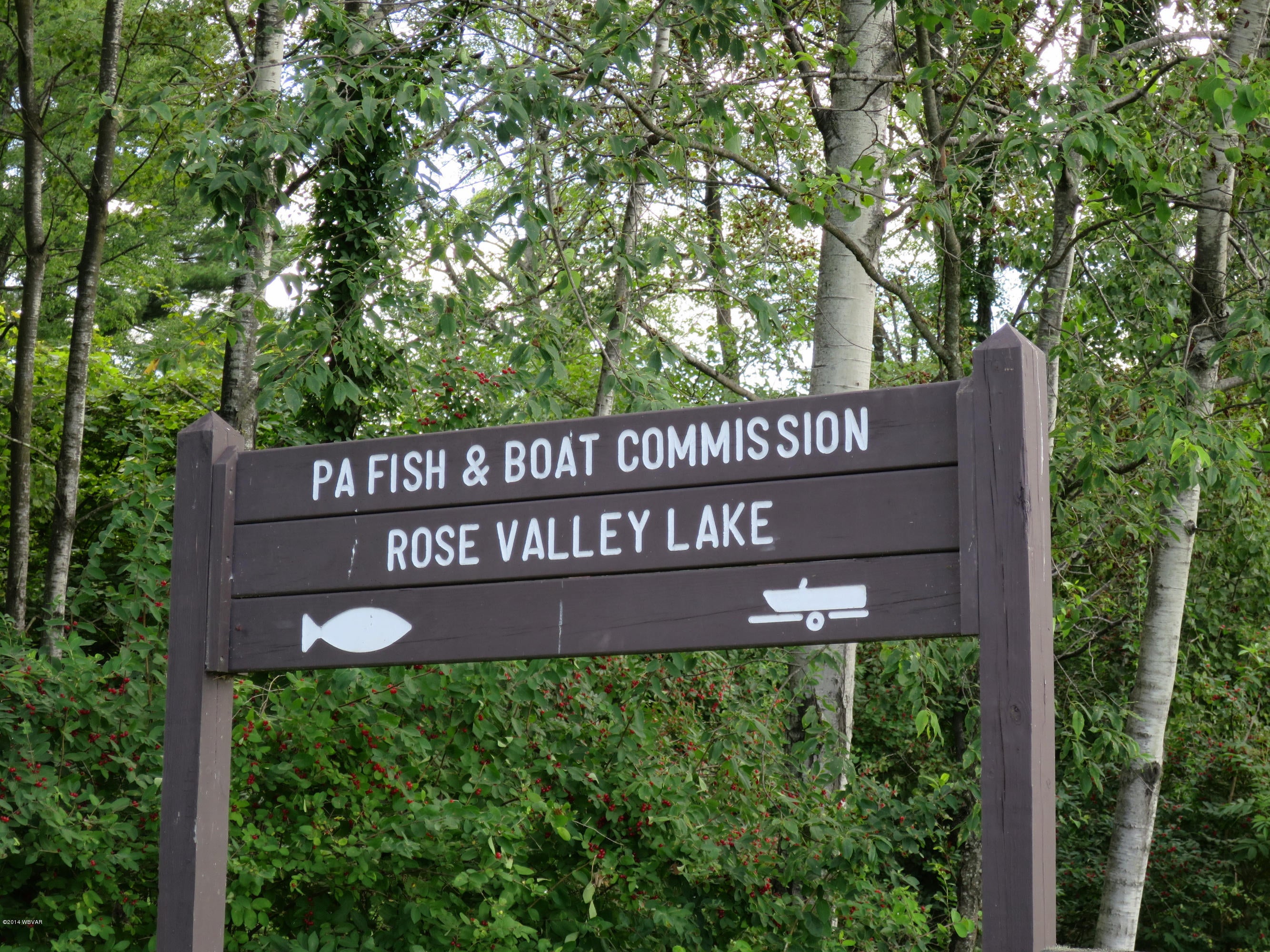 1600 Trimble Road Trout Run, PA 17771 - Photo 2 of 8 Gallery Image 2