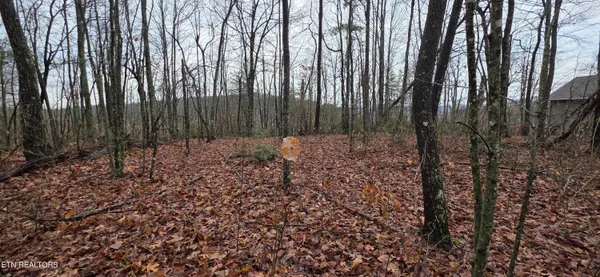 $75,000 | 772 Eastridge Pass, Monterey, TN 38574