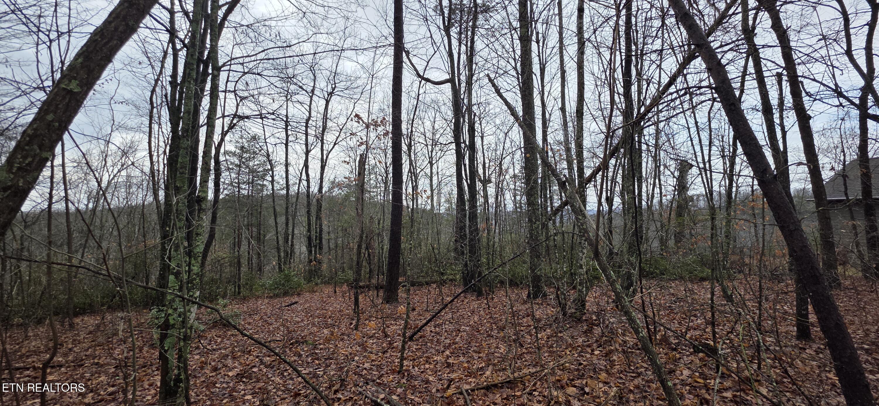 772 Eastridge Pass Monterey, TN 38574 - Photo 3 of 5 20260109_125941