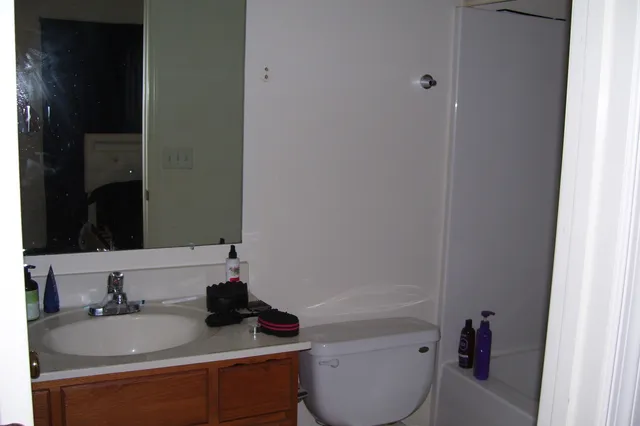 a bathroom with a sink toilet a mirror and vanity