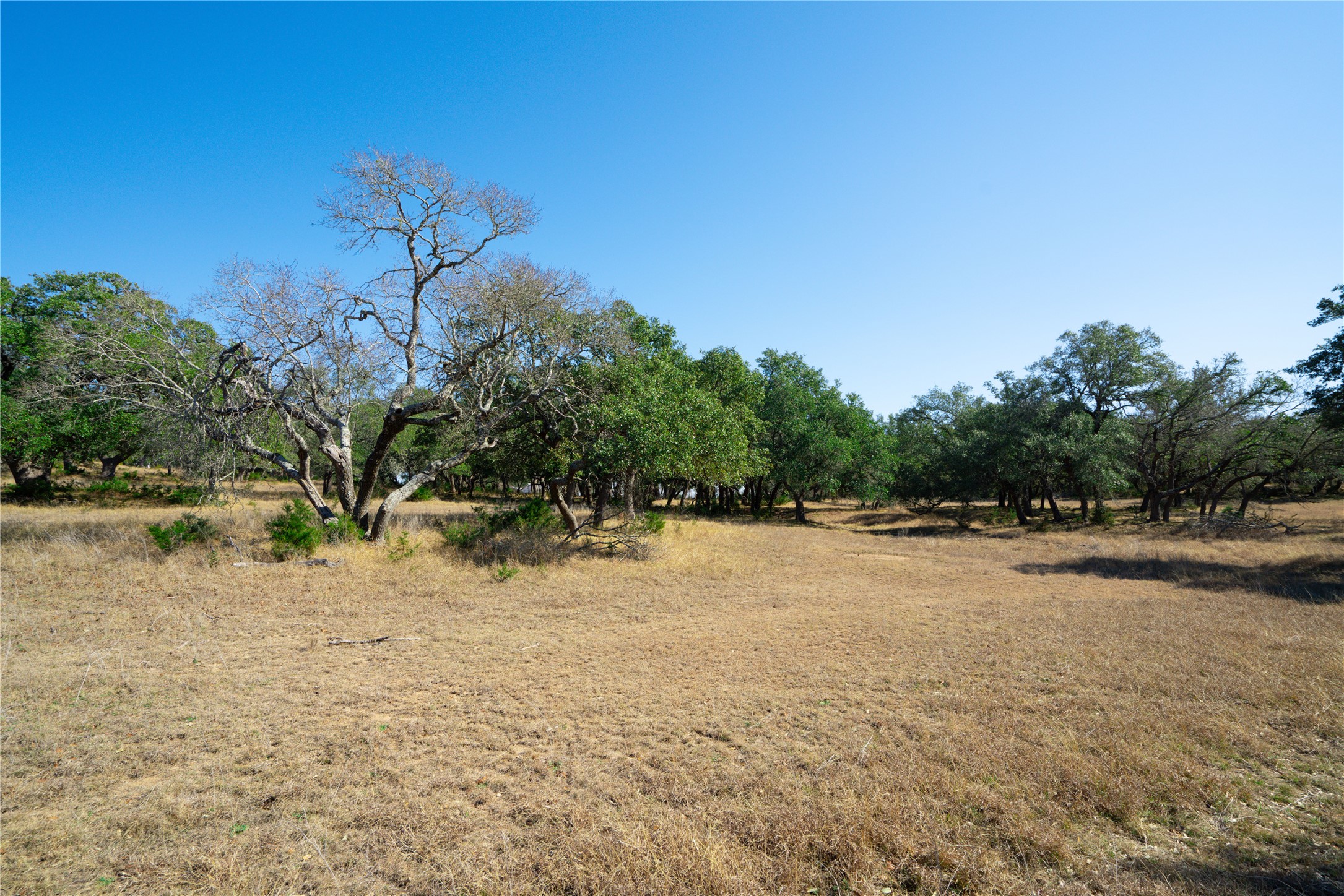 101 Mystic Overlook Road Dripping Springs, TX 78620 - Photo 8 of 27