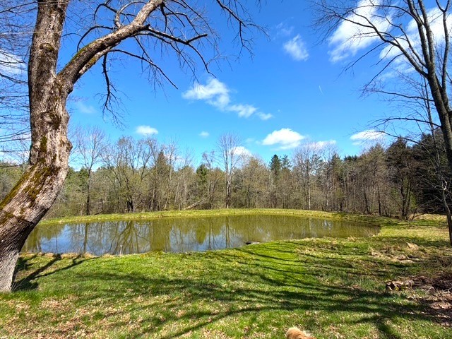 2856 Zimmer Road Scio, NY 14880 - Photo 5 of 50