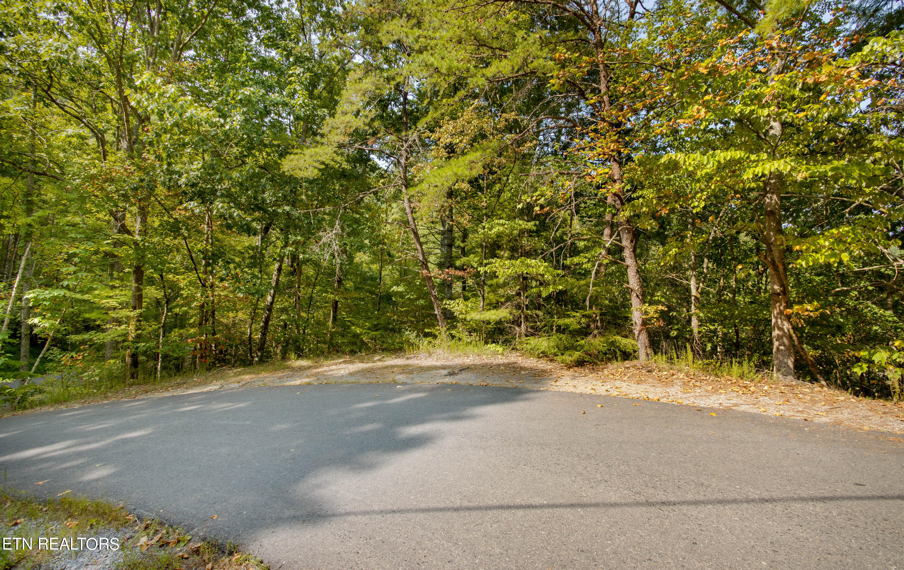 Lot 20 Sugar Maple Loop Road Sevierville, TN 37862 - Photo 9 of 10 IMG_0125-Edit
