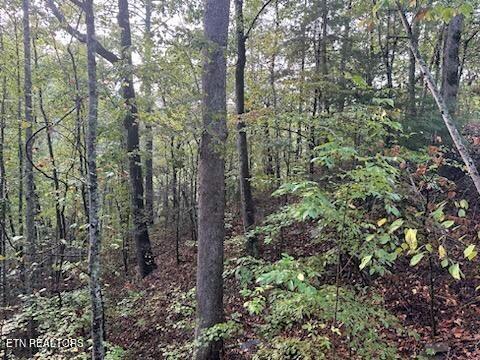 Lot 20 Sugar Maple Loop Road Sevierville, TN 37862 - Photo 10 of 10 e13d8a3fae2f48918d98cf02615095fe