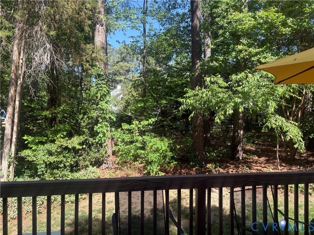 16406 Inchcape Road Moseley, VA 23120 - Photo 37 of 40