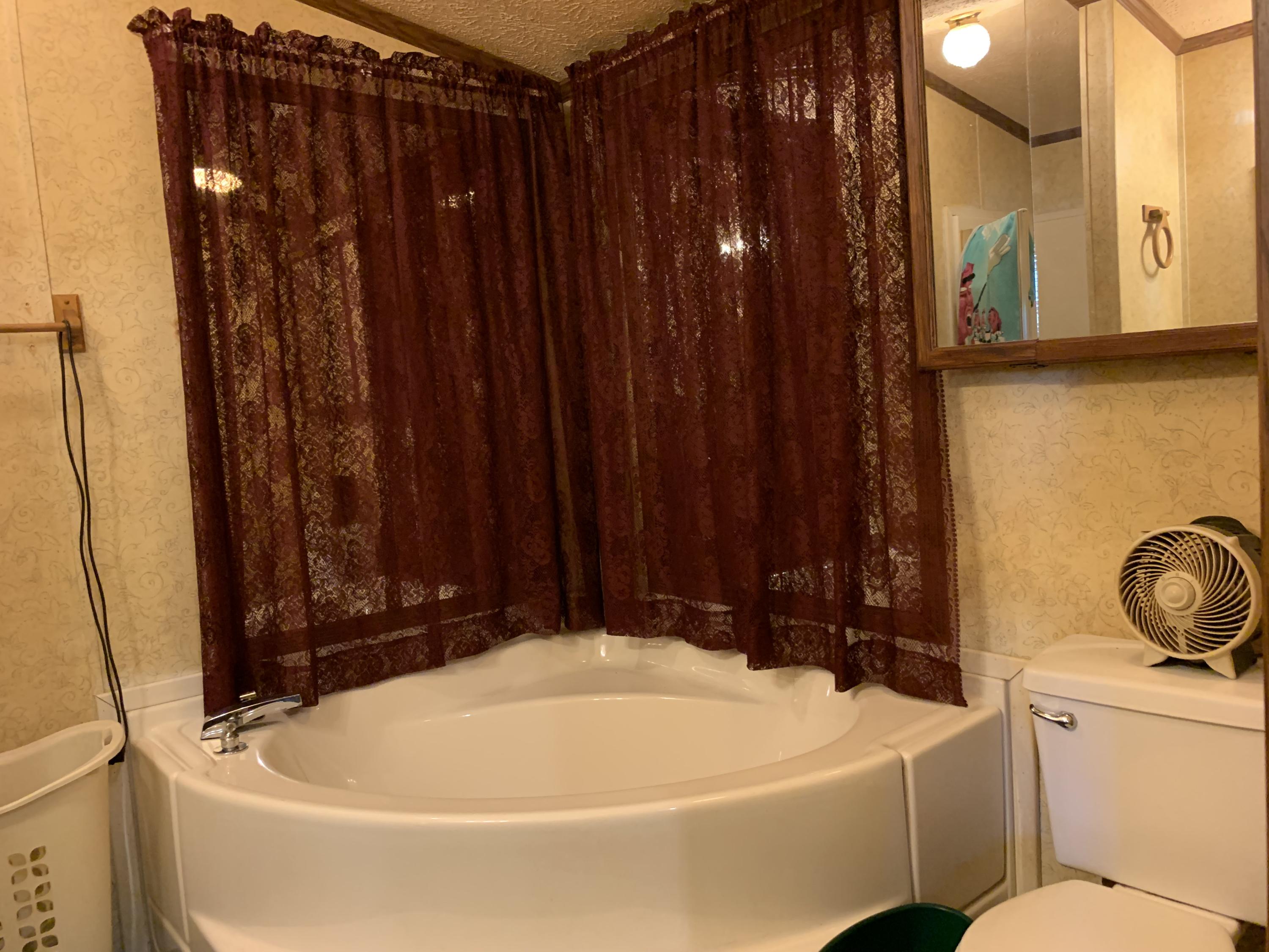 829 Stetson Road Kenduskeag, ME 04450 - Photo 11 of 18 Garden Tub
