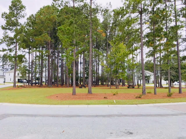 158 Brookhaven Road Summerville, SC 29486 - Photo 4 of 27 unnamed