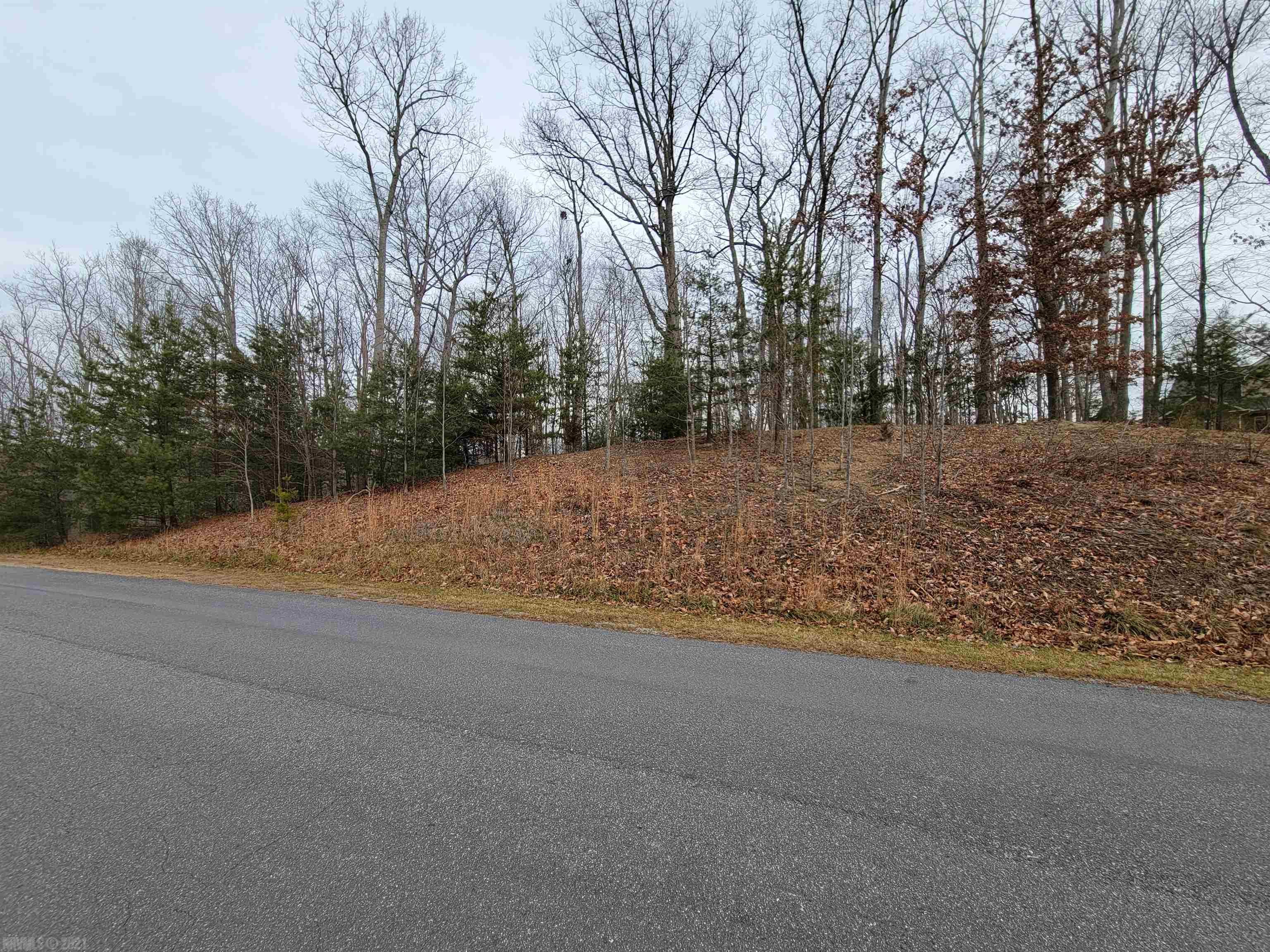 1051 Treetop Ridge Road Blacksburg, VA 24060 - Photo 2 of 10 Gallery Image 2