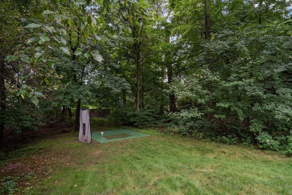 20 Chatham Circle Wellesley, MA 02481 - Photo 29 of 30 a fire hydrant in the middle of a field