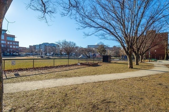 a view of a backyard with large trees