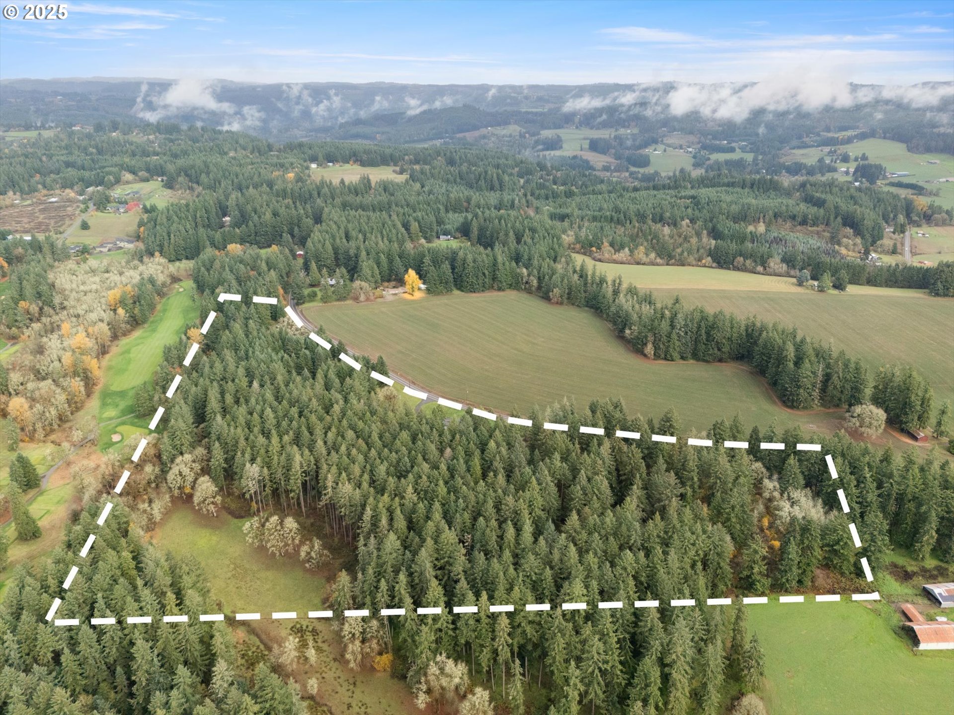 13235 Northwest Pumpkin Ridge Road North Plains, OR 97133 - Photo 10 of 41