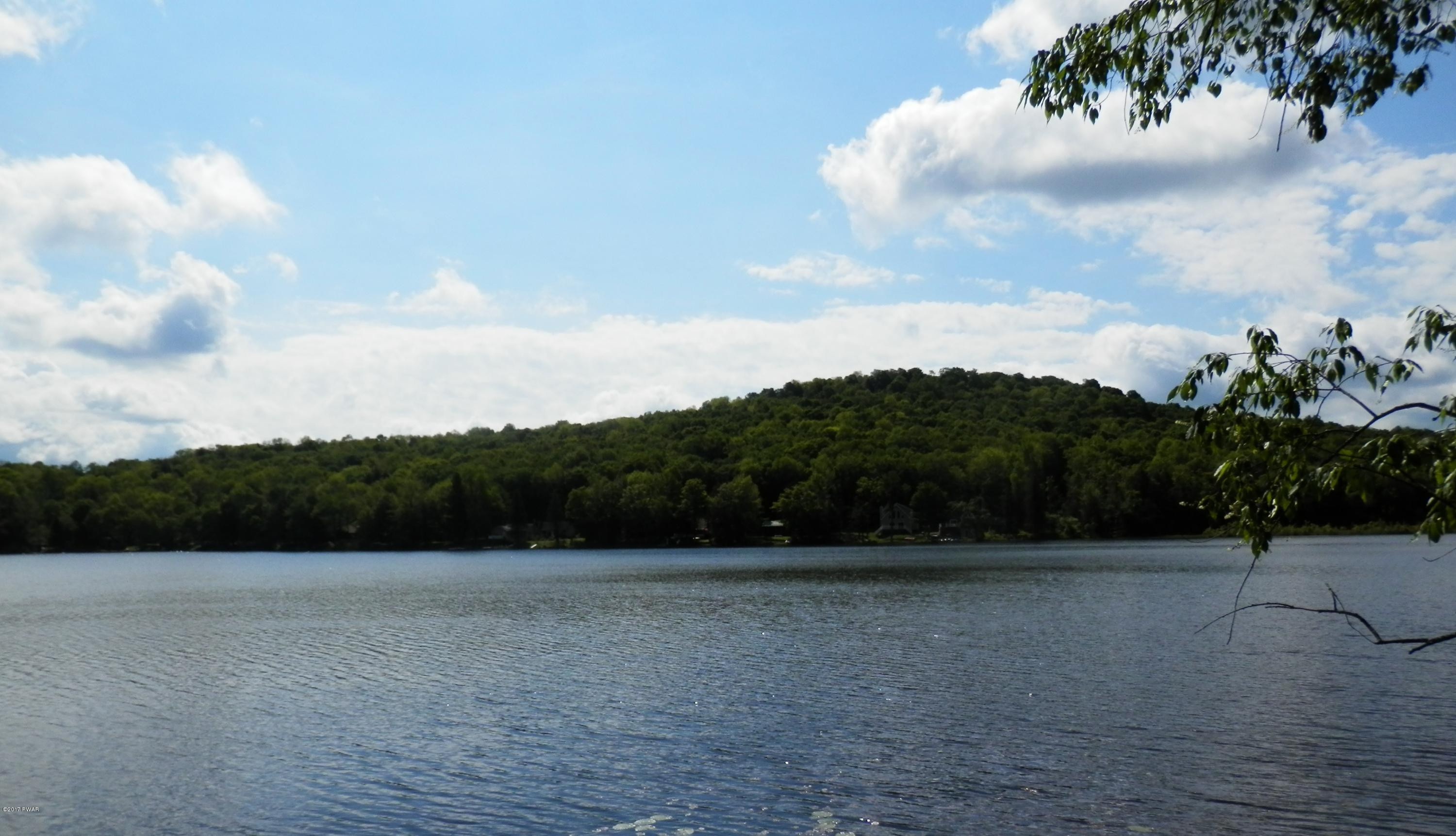 45 Lake Cross Road Pleasant Mount, PA 18453 - Photo 42 of 46 BIGLOW LAKE