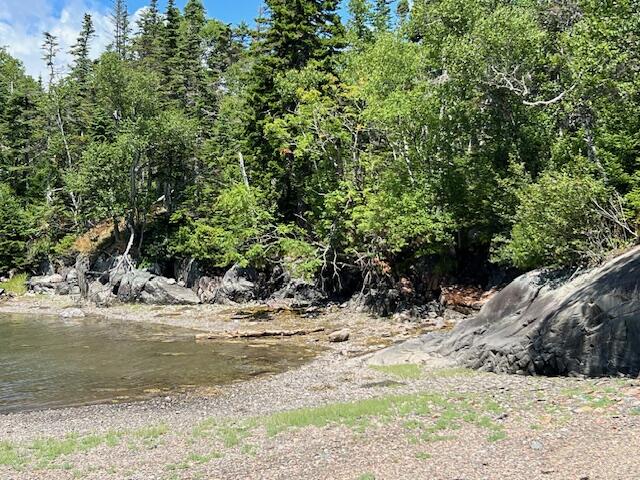 31 Yoho Head Road Machiasport, ME 04655 - Photo 20 of 21 IMG_8586