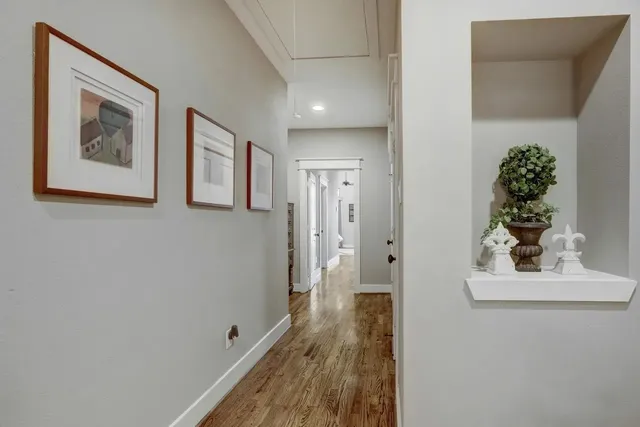a view of a hallway with wooden floor and a potted plant