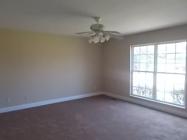 1130 Eloise West Road Greenback, TN 37742 - Photo 15 of 24 DSCN6838
