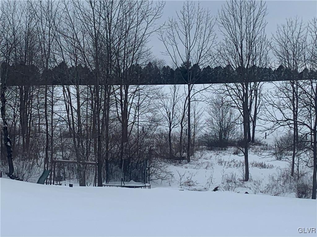 7314 Swamp Hollow Road Slatington, PA 18080 - Photo 6 of 35 Gallery Image 6