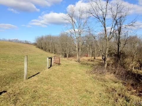 7314 Swamp Hollow Road Slatington, PA 18080 - Photo 10 of 35 Gallery Image 10