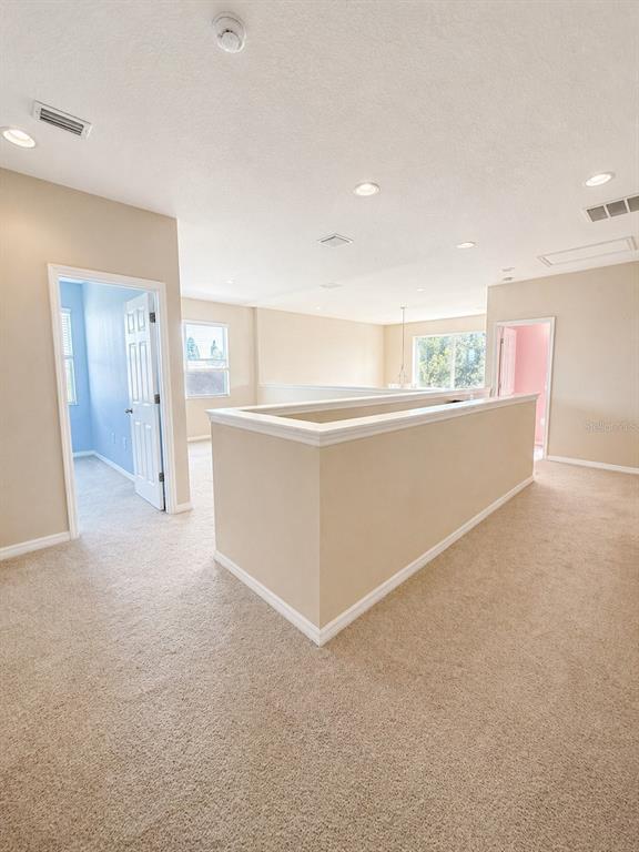8623 Deep Maple Drive Riverview, FL 33578 - Photo 8 of 11