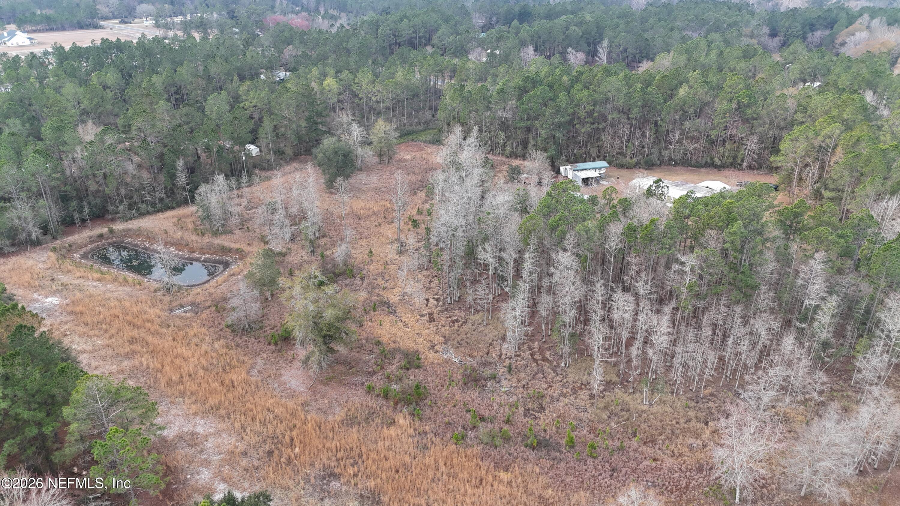 10697 County Road 127 Sanderson, FL 32087 - Photo 6 of 40 a view of a yard with trees