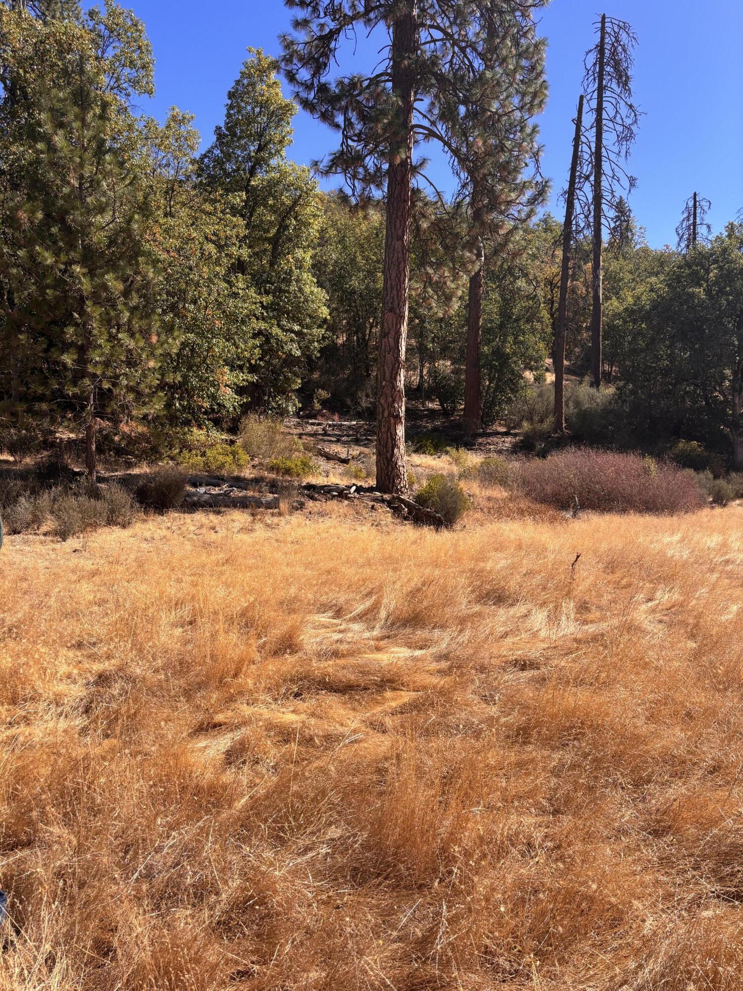 775 Barker Valley Road Hayfork, CA 96041 - Photo 9 of 41 Lower Area