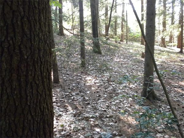 Lot 2-802 Boston Post Road Sudbury, MA 01776 - Photo 2 of 3 Gallery Image 2