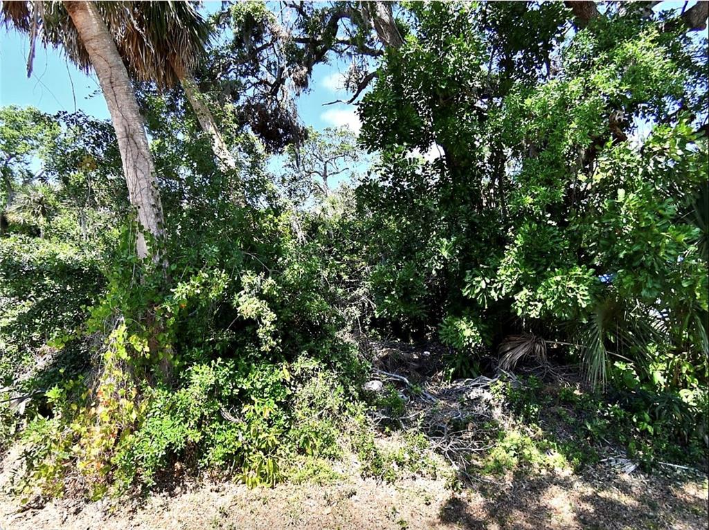 Foxglove Road Venice, FL 34293 - Photo 1 of 6