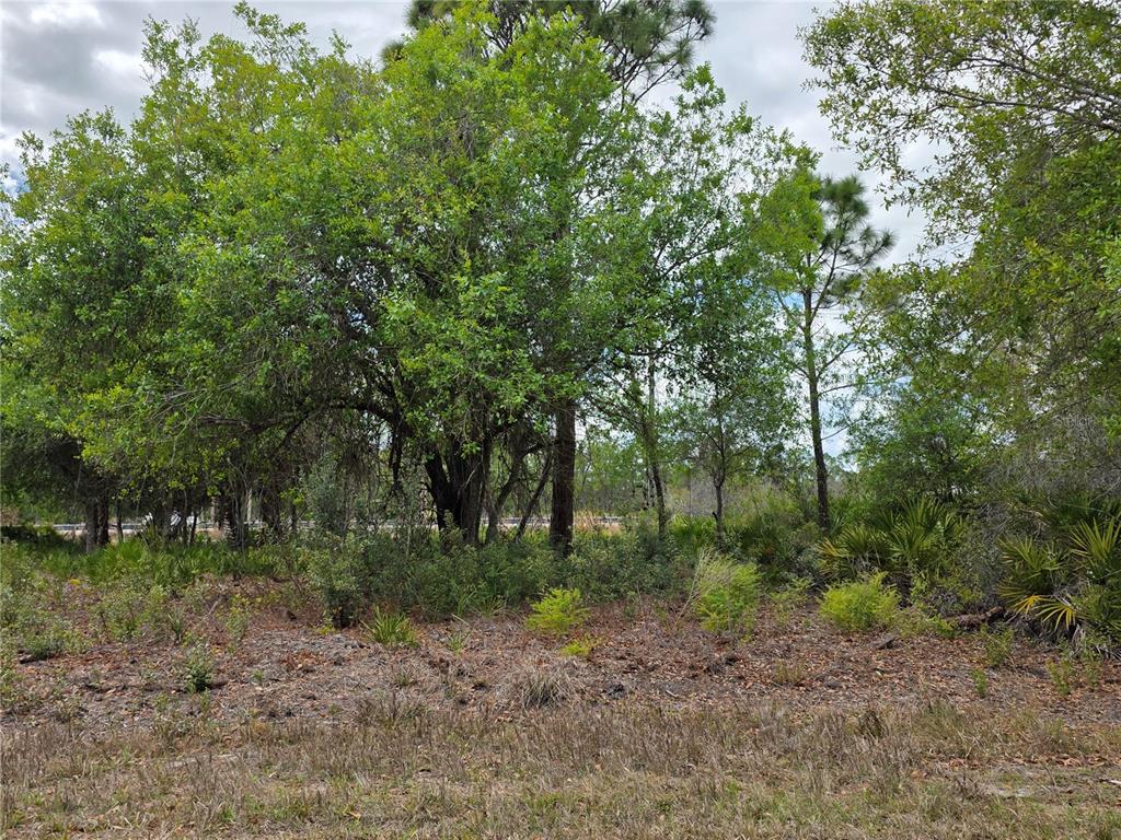 3337 Swanee Road, Unit 23 Punta Gorda, FL 33980 - Photo 1 of 2 a view of a forest